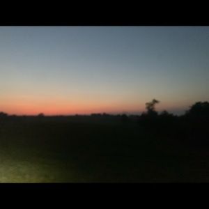 Meet your Posher, Dylan